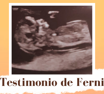 historia Ferni
